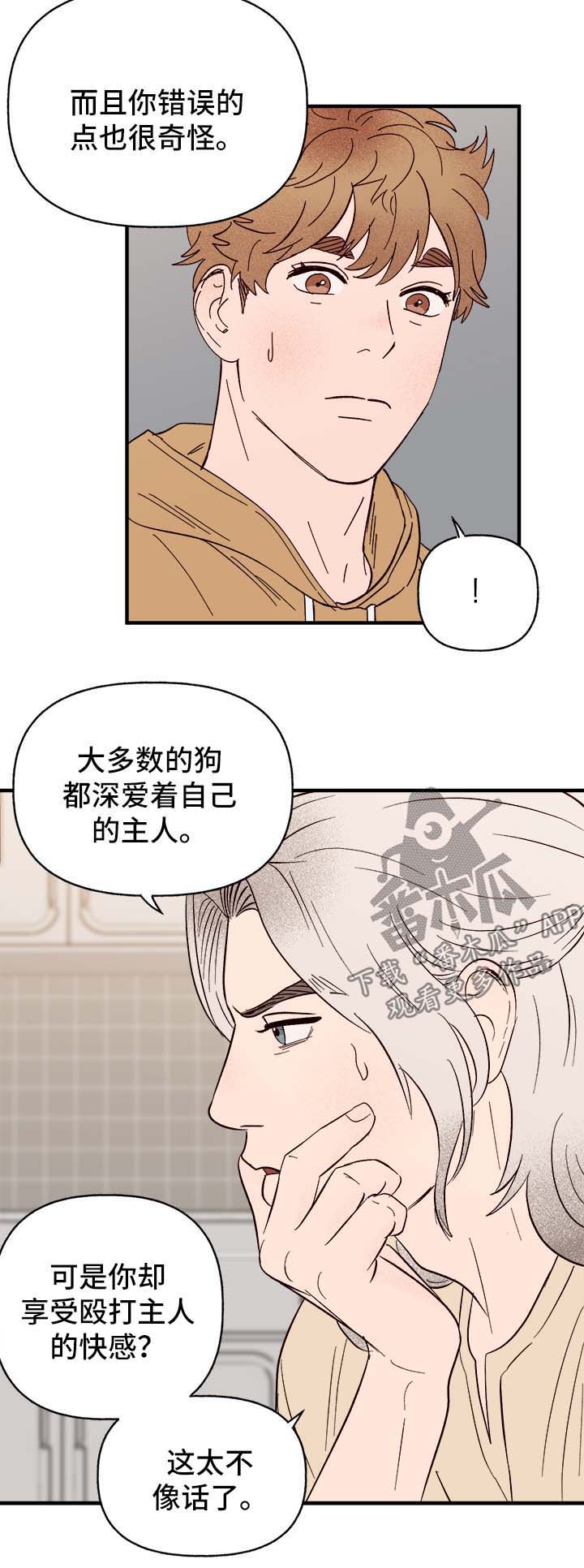 爱宠攻略漫画,第37章：忠告5图