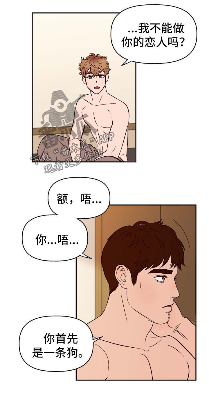 爱宠攻略漫画,第41章：首先你是只狗3图