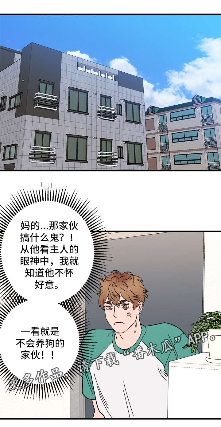 爱宠攻略漫画,第26章：争风吃醋4图