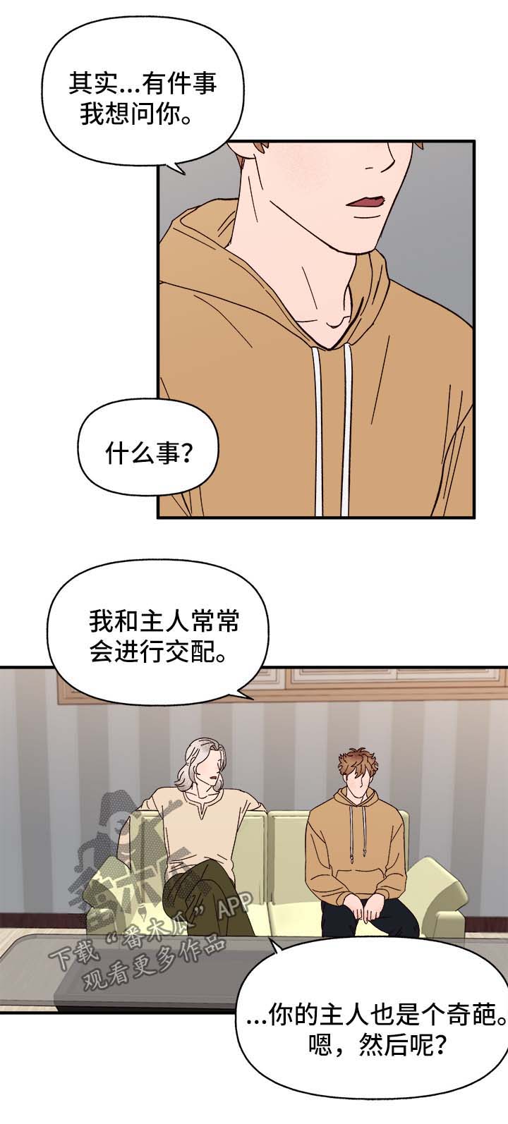 爱宠攻略漫画,第37章：忠告5图