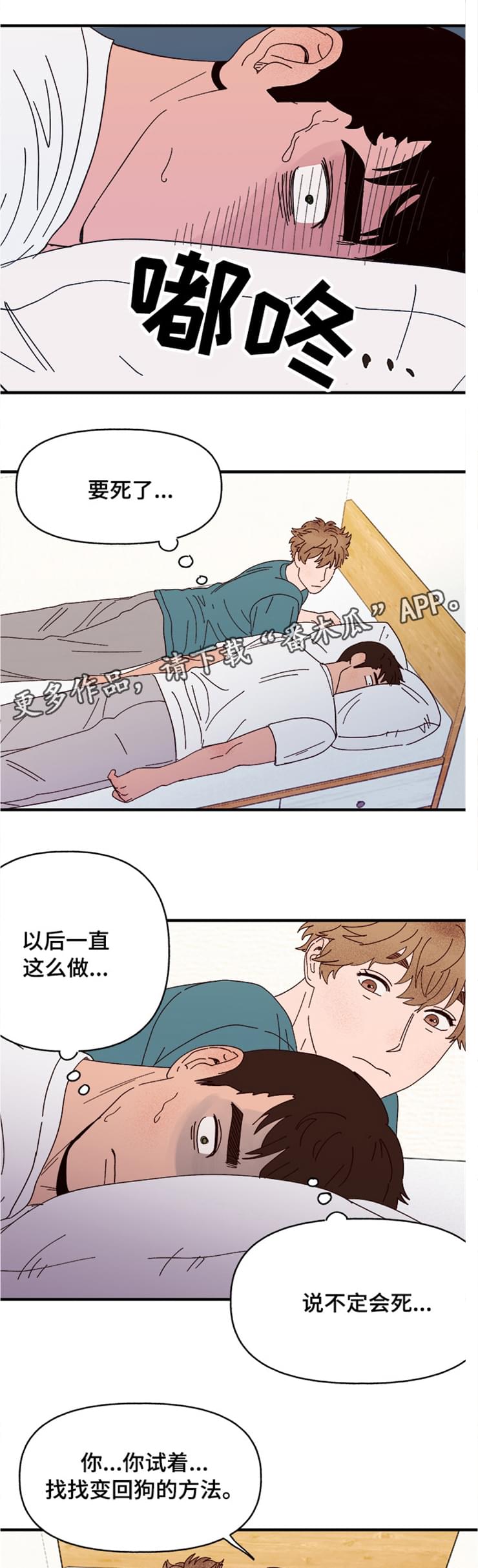 爱宠攻略漫画,第18章：可爱的坏人5图
