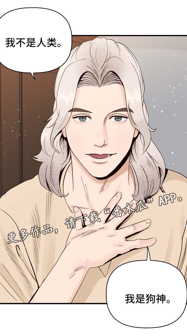 爱宠攻略漫画,第33章：狗神2图