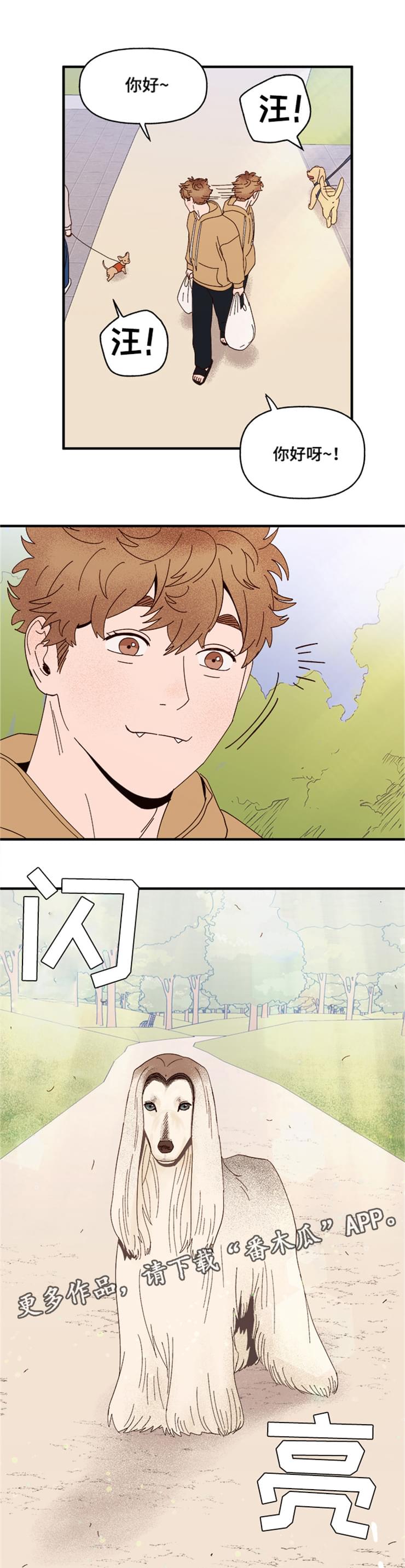 爱宠攻略漫画,第19章：传说5图