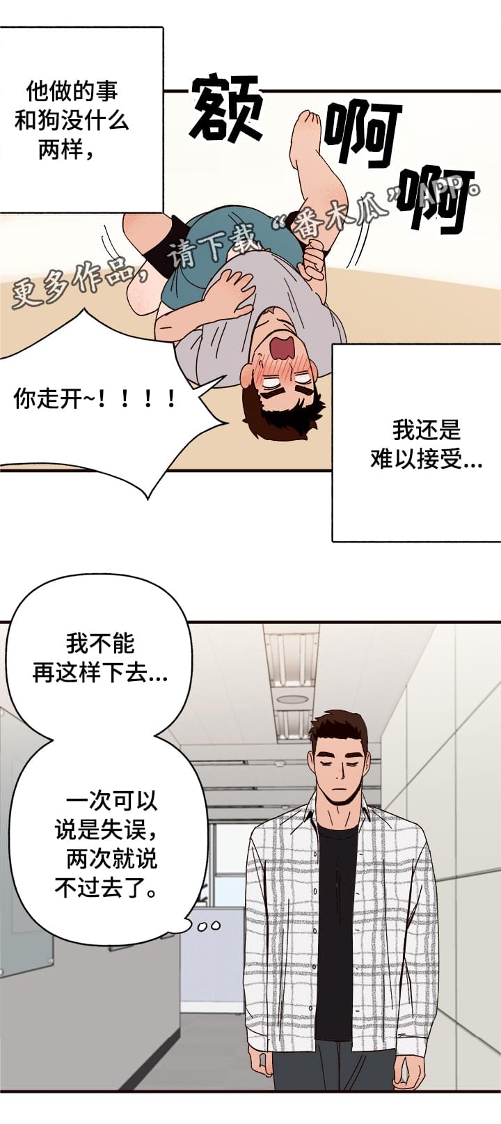 爱宠攻略漫画,第12章：还人情2图