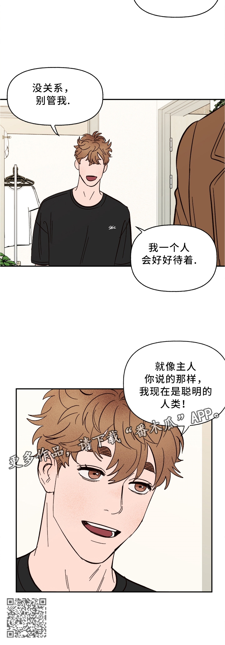 爱宠攻略漫画,第46章：结束了2图