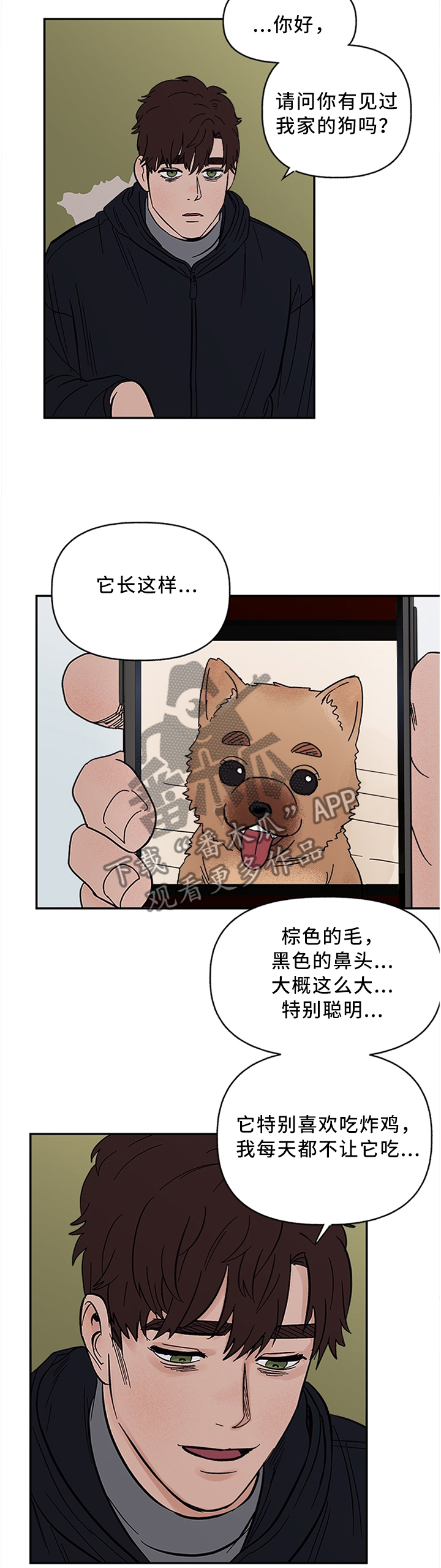 爱宠攻略漫画,第62章：失去主人的”狗”5图