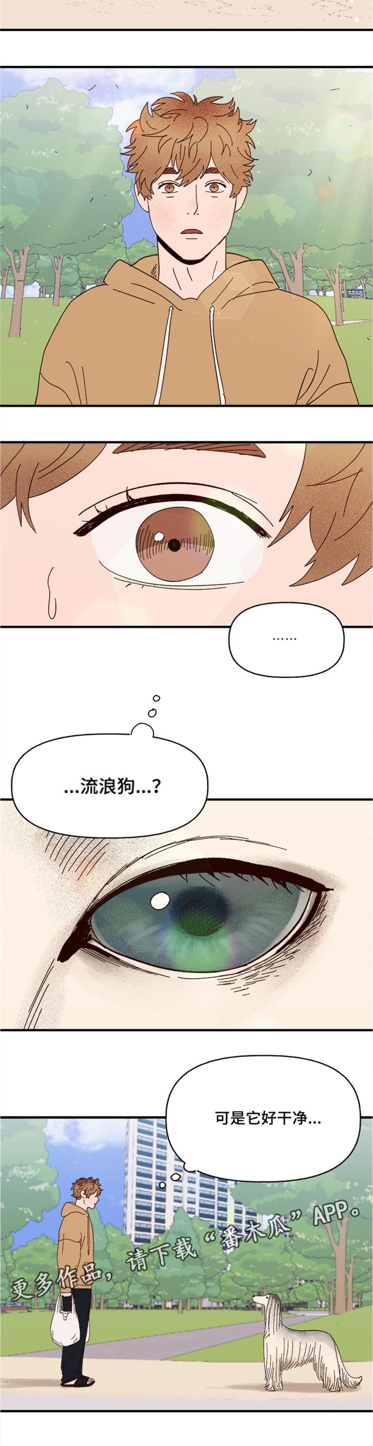 爱宠攻略漫画,第19章：传说1图