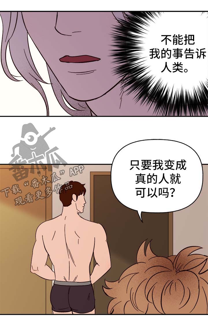 爱宠攻略漫画,第41章：首先你是只狗2图