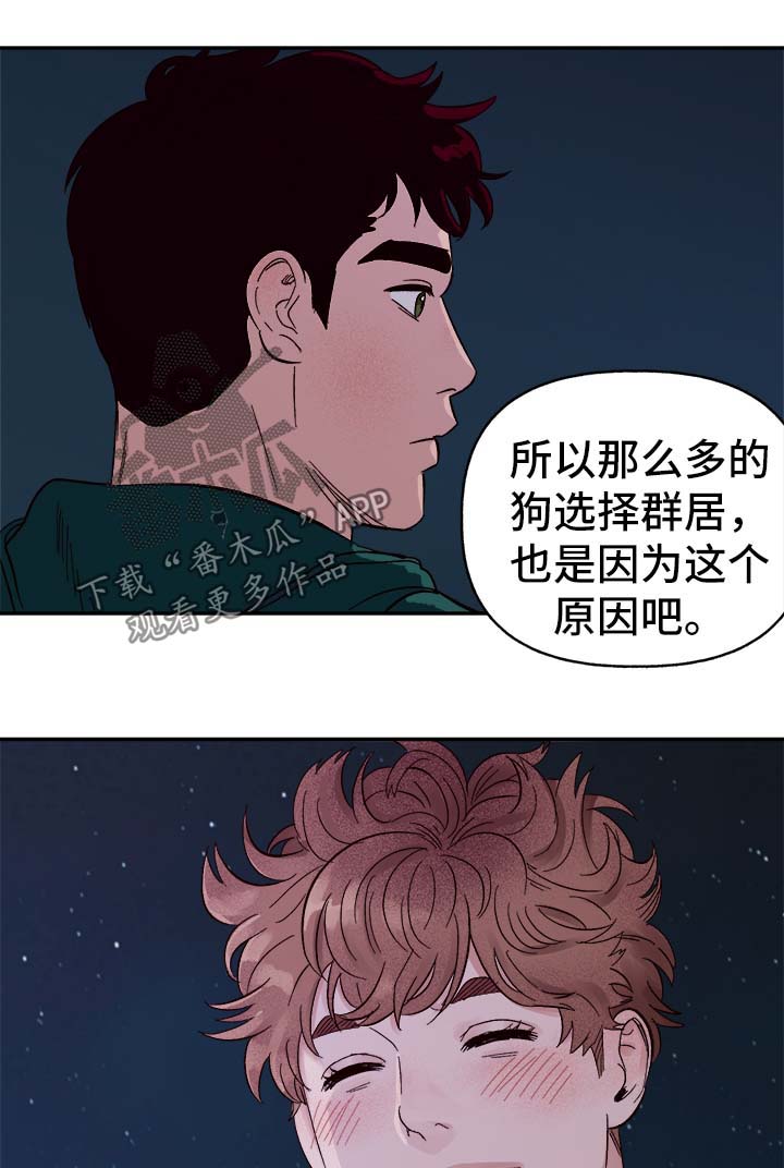 爱宠攻略漫画,第39章：幸运1图