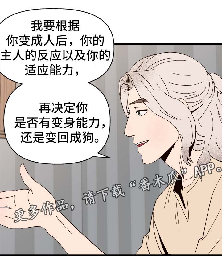 爱宠攻略漫画,第34章：隐晦5图