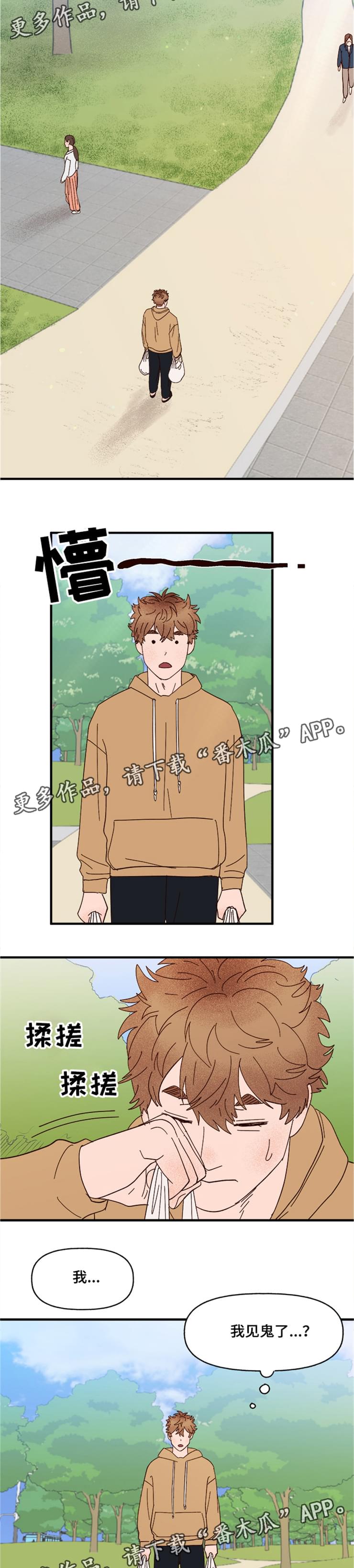 爱宠攻略漫画,第19章：传说3图