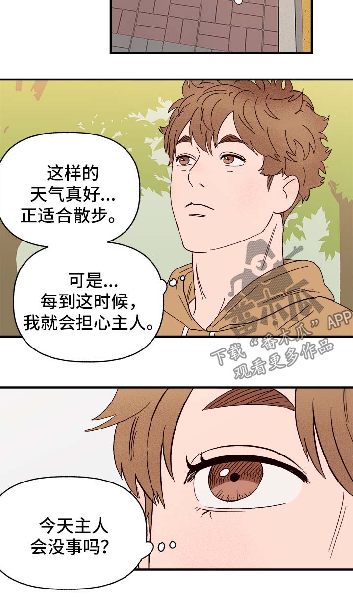 爱宠攻略漫画,第37章：忠告2图
