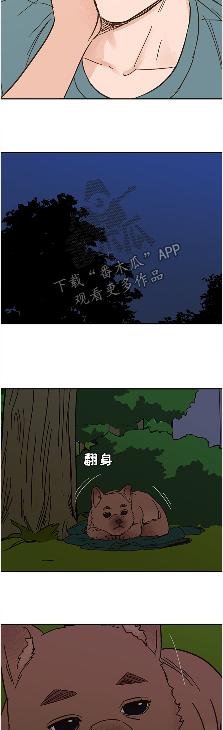 爱宠攻略漫画,第55章：这样的结果1图