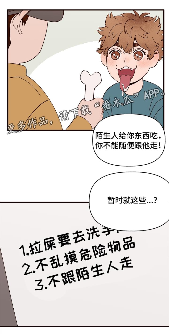 爱宠攻略漫画,第11章：测试一下5图