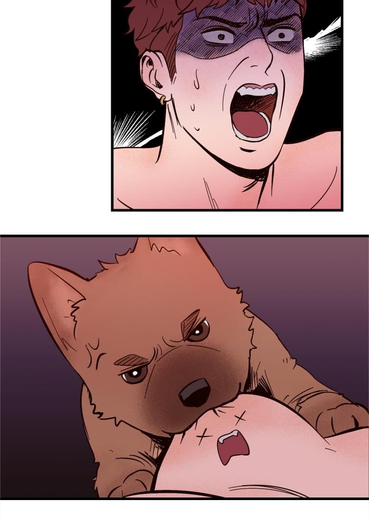 爱宠攻略漫画,第1章：袭击4图