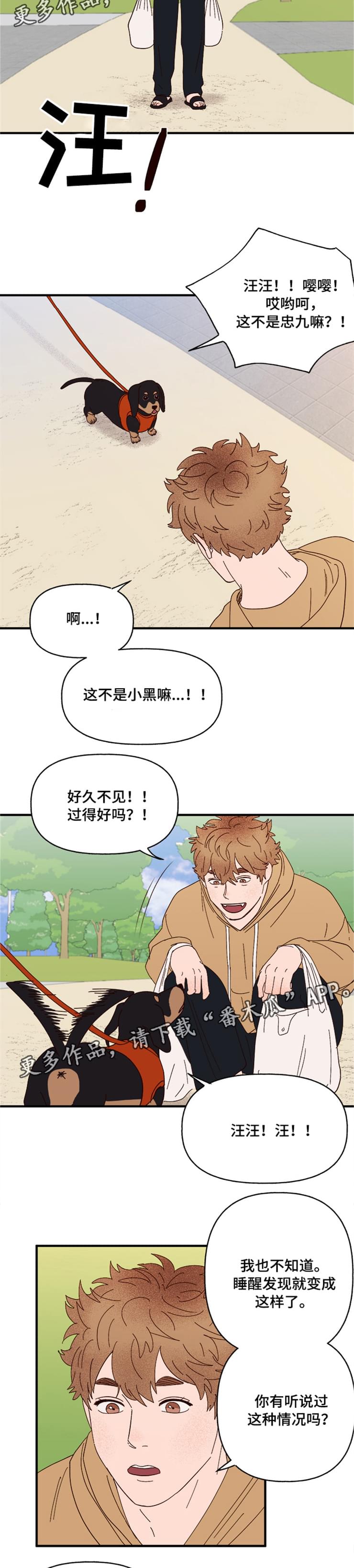 爱宠攻略漫画,第19章：传说4图
