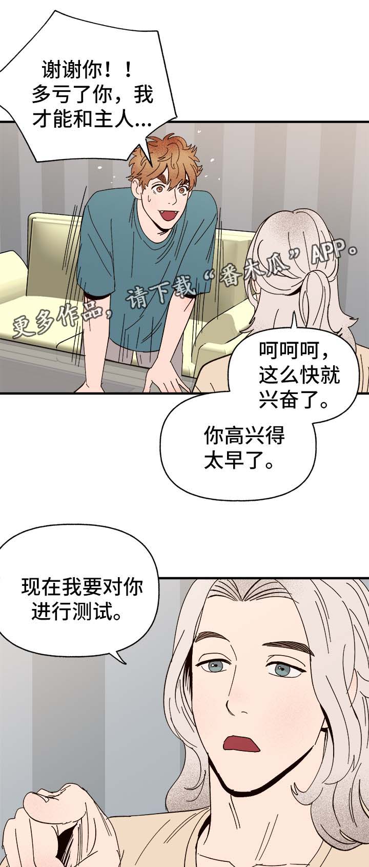 爱宠攻略漫画,第34章：隐晦3图