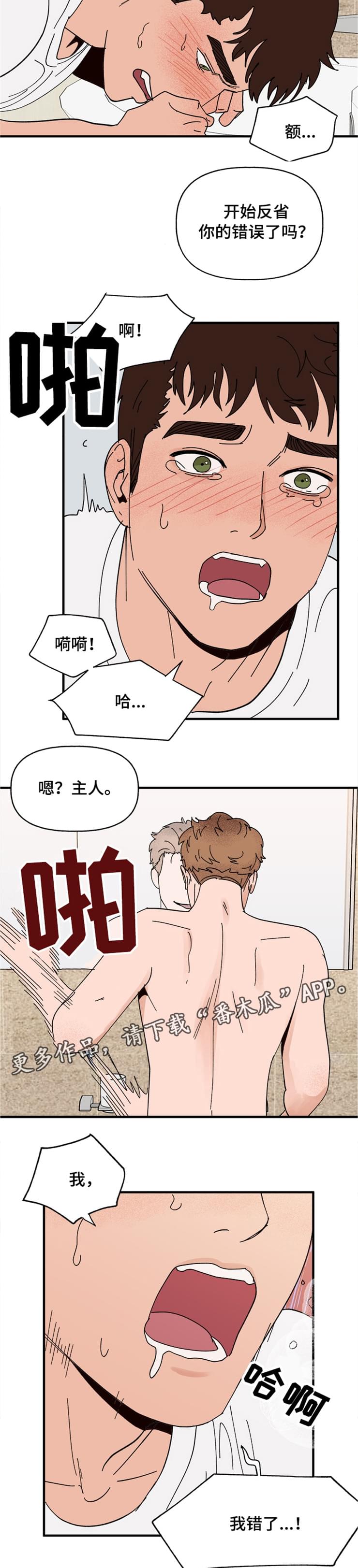 爱宠攻略漫画,第16章：接受3图