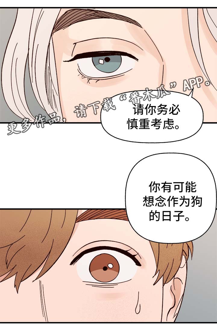 爱宠攻略漫画,第34章：隐晦5图