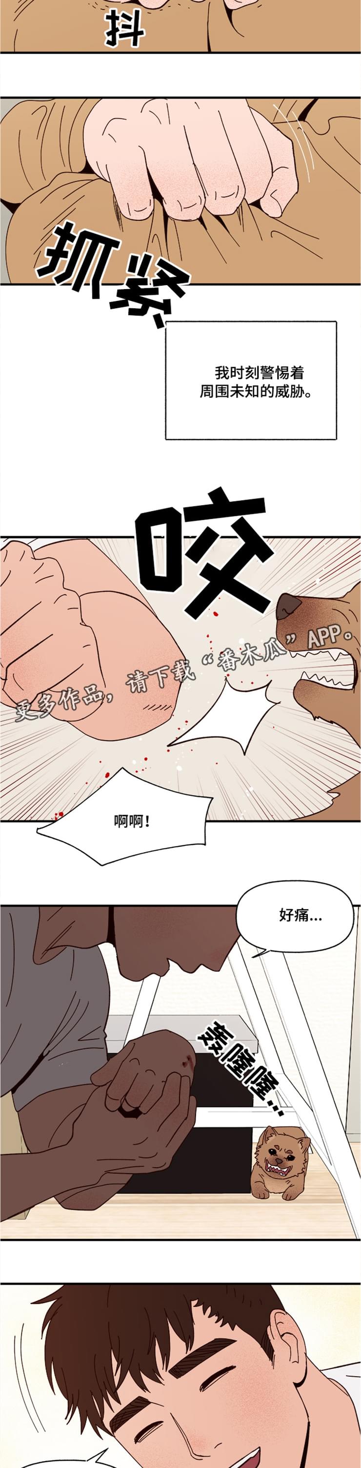 爱宠攻略漫画,第20章：回忆4图