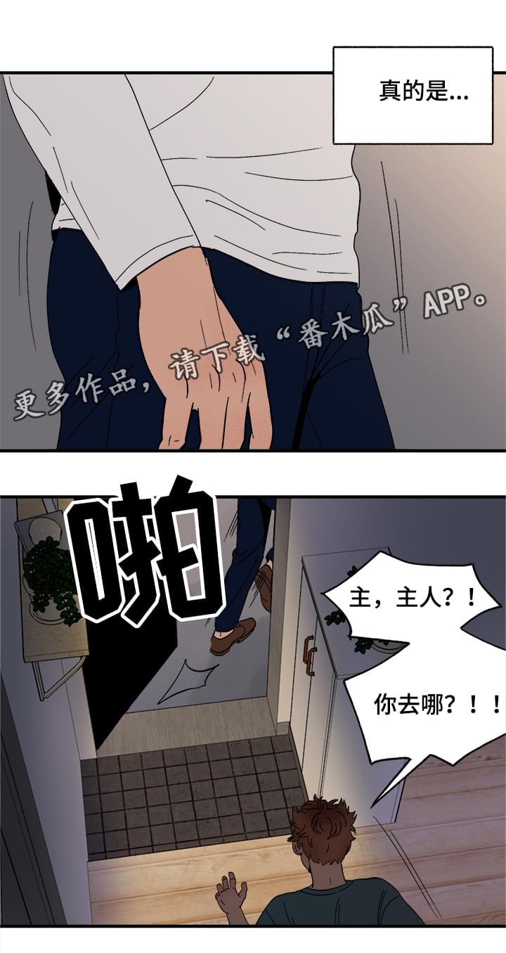 爱宠攻略漫画,第6章：惩罚2图