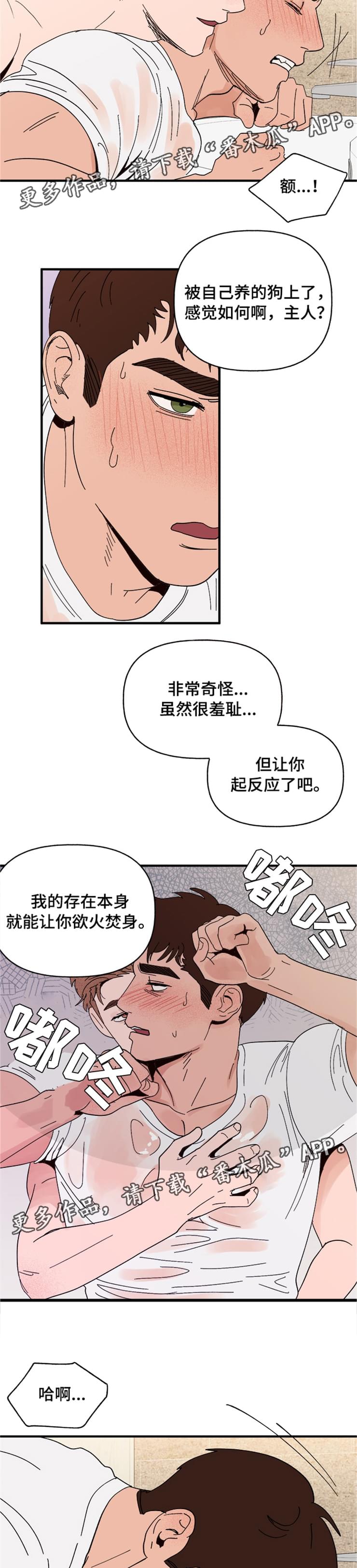 爱宠攻略漫画,第16章：接受2图