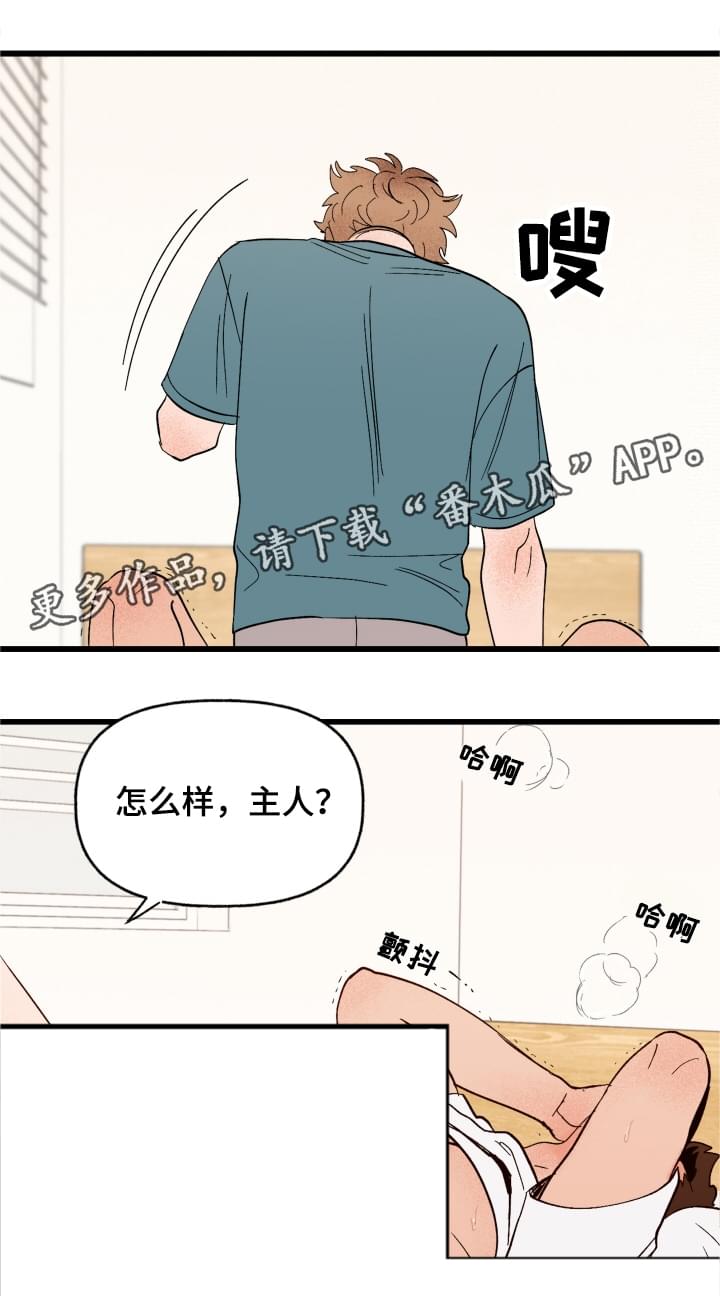 爱宠攻略漫画,第4章：你的主人2图