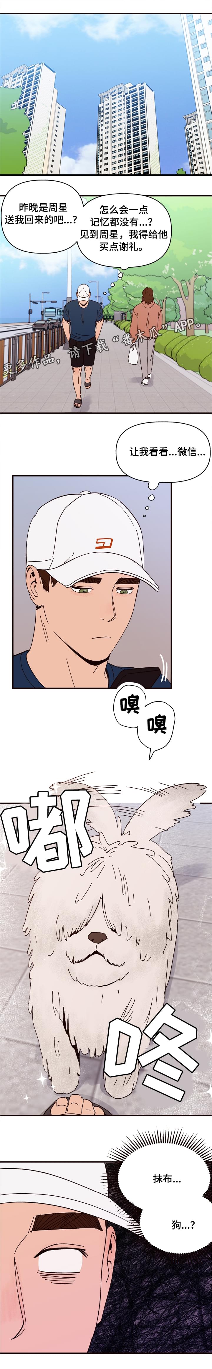 爱宠攻略漫画,第10章：谎言1图