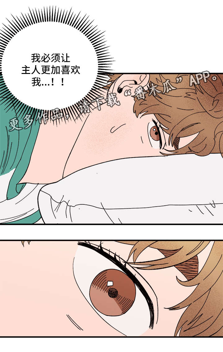 爱宠攻略漫画,第26章：争风吃醋1图