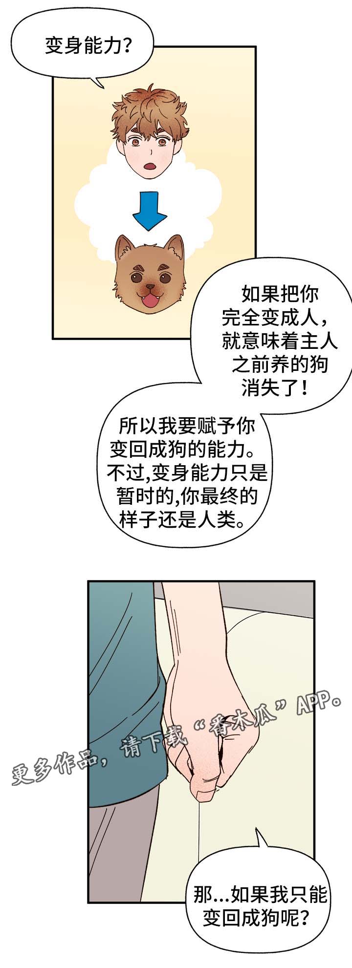 爱宠攻略漫画,第34章：隐晦1图