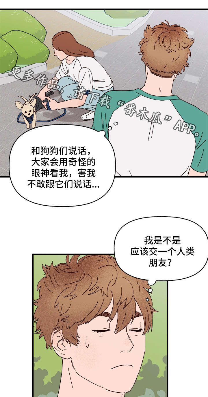 爱宠攻略漫画,第26章：争风吃醋2图