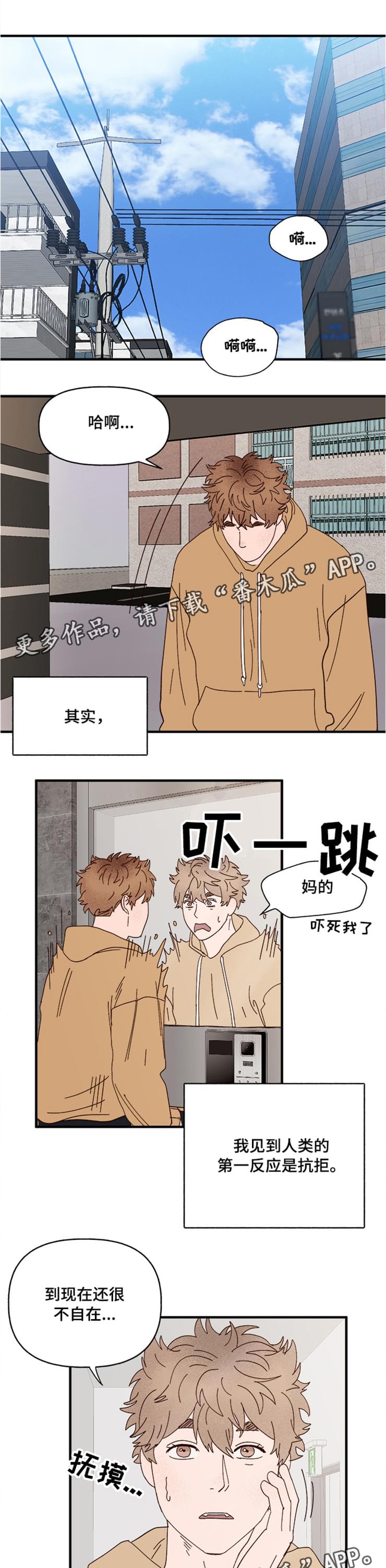 爱宠攻略漫画,第20章：回忆1图