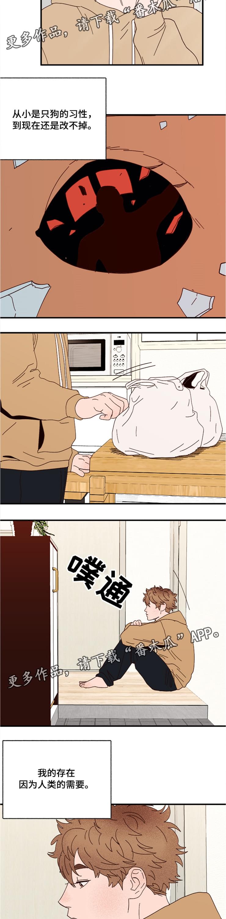 爱宠攻略漫画,第20章：回忆2图