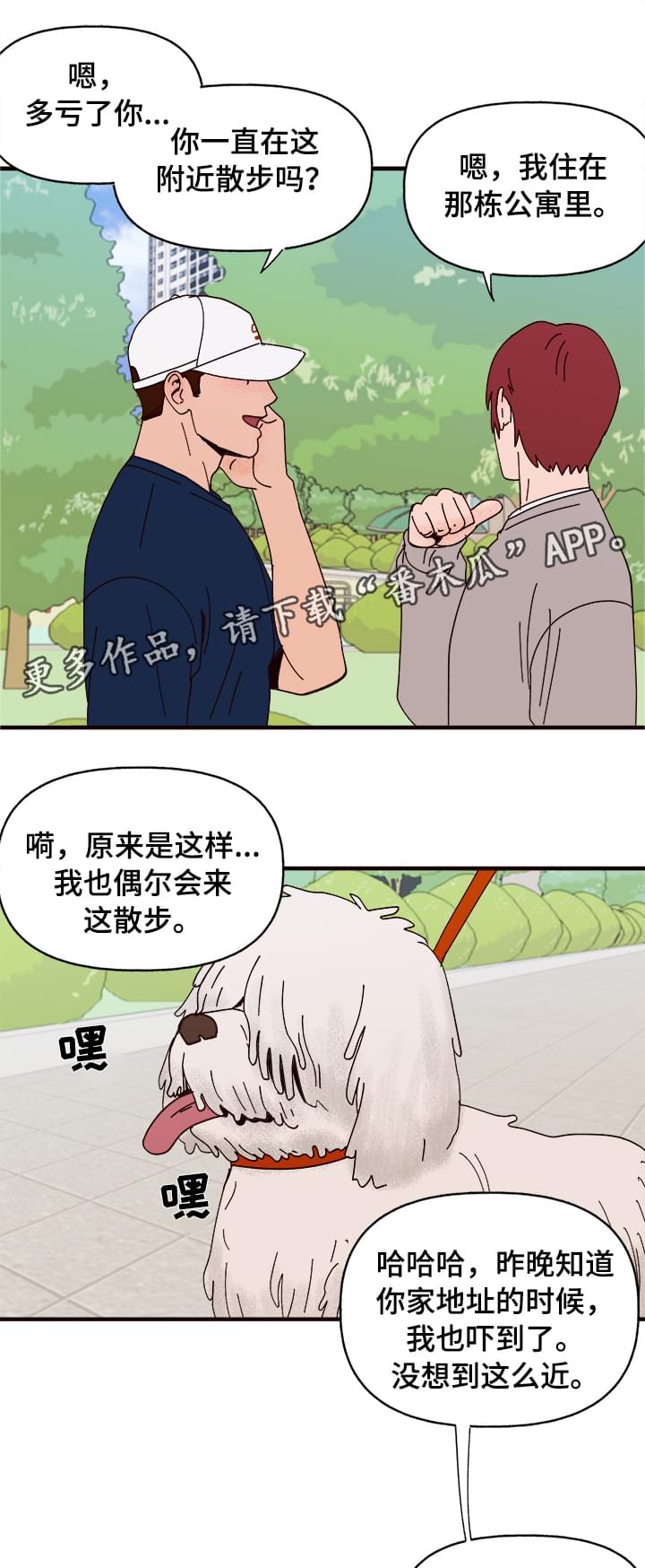 爱宠攻略漫画,第10章：谎言4图