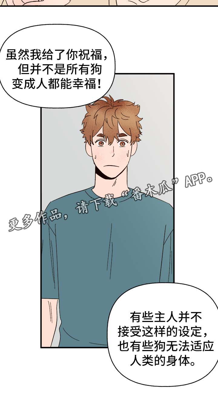 爱宠攻略漫画,第34章：隐晦4图