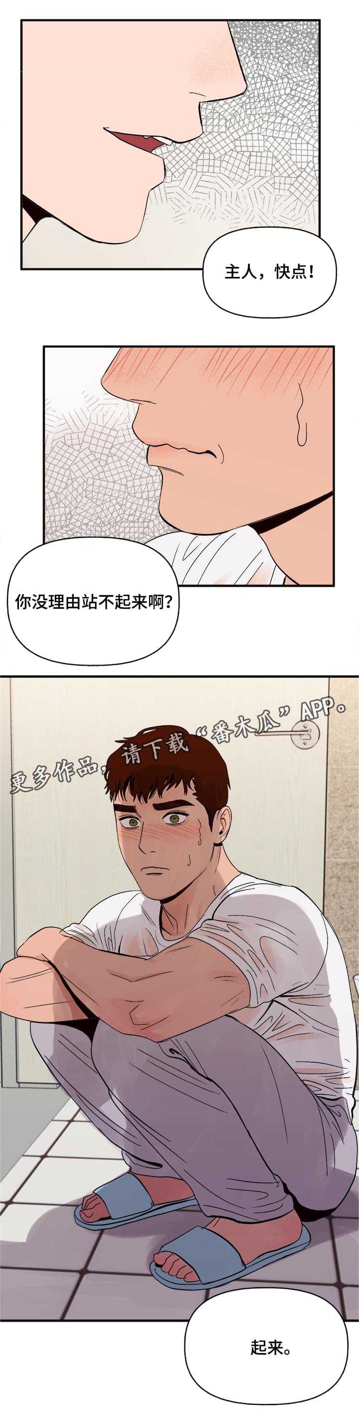 爱宠攻略漫画,第15章：命令5图