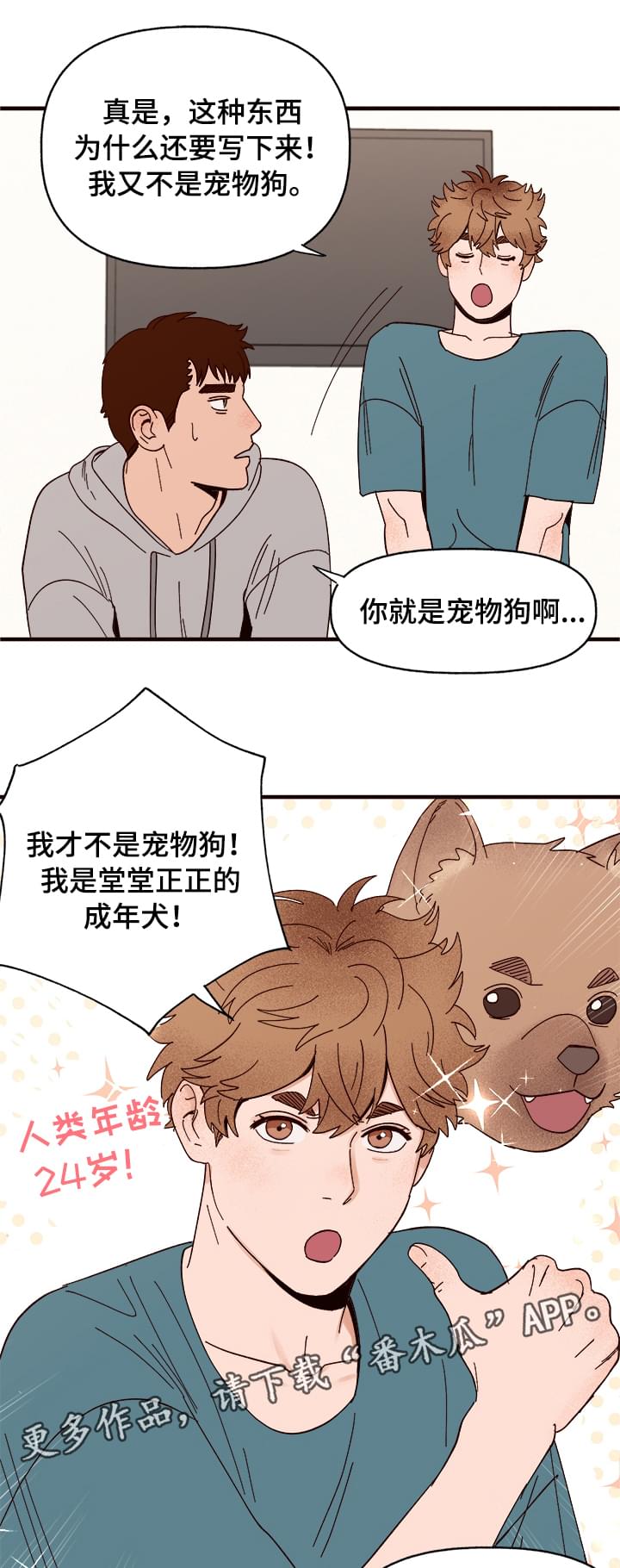 爱宠攻略漫画,第11章：测试一下1图