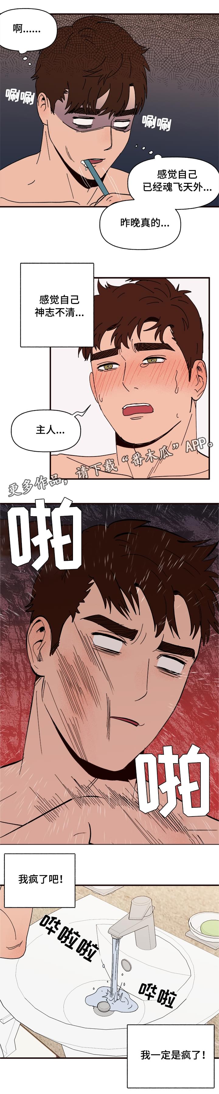 爱宠攻略漫画,第10章：谎言2图