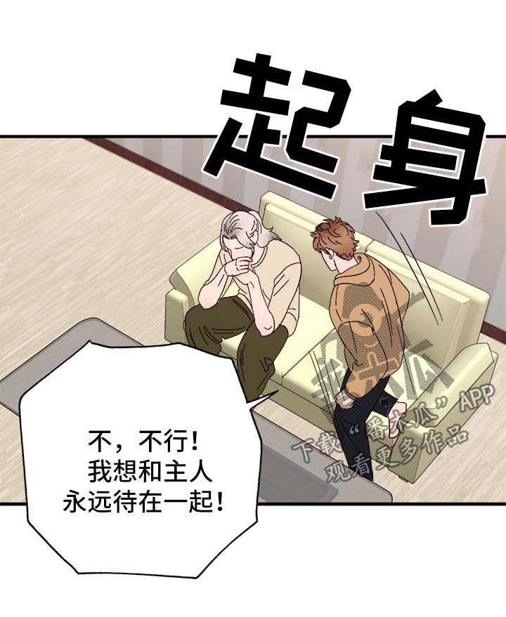 爱宠指南张浩漫画,第37章：忠告3图