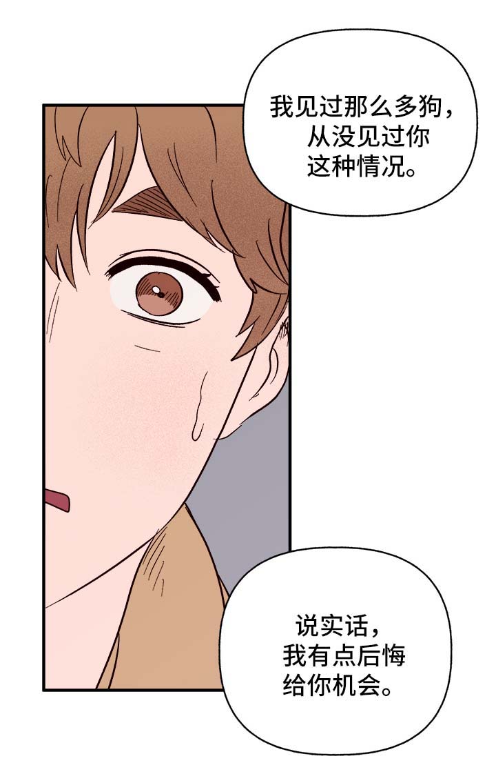 爱宠指南张浩漫画,第37章：忠告2图