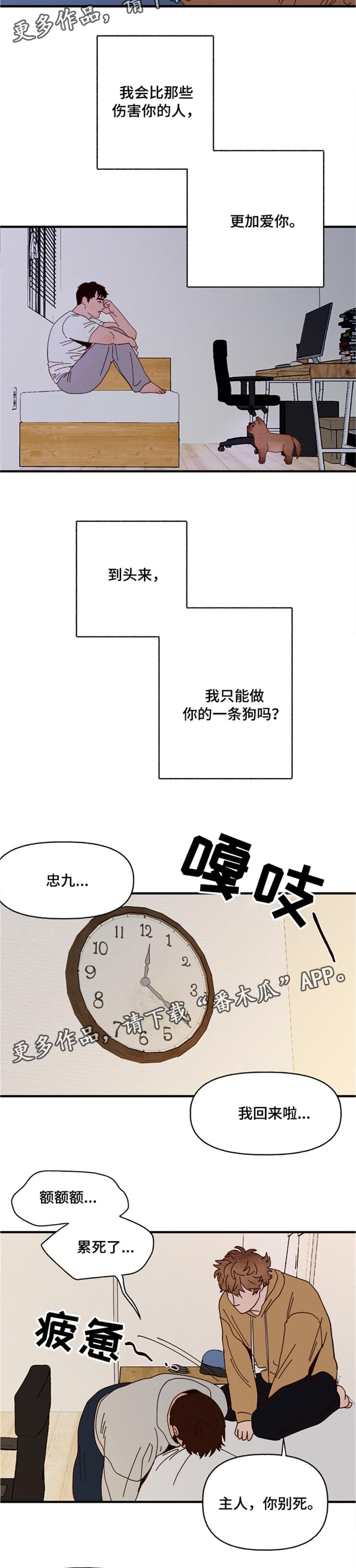 爱宠攻略漫画,第20章：回忆2图