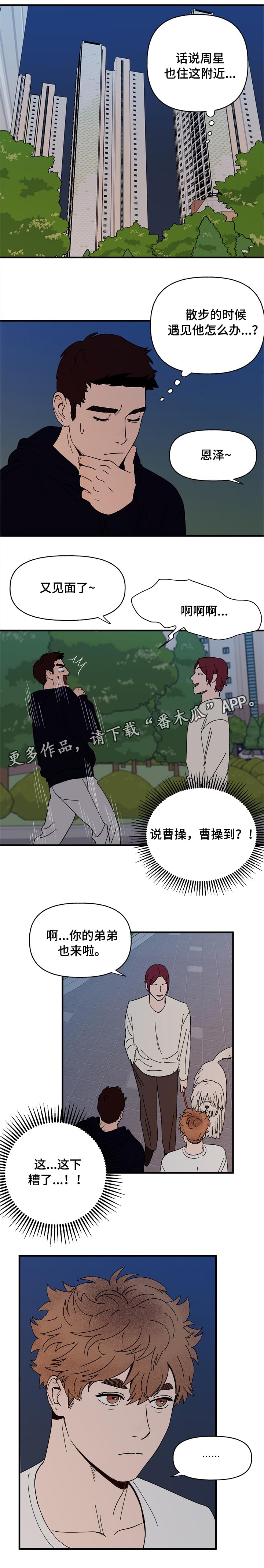 爱宠攻略漫画,第13章：散步2图