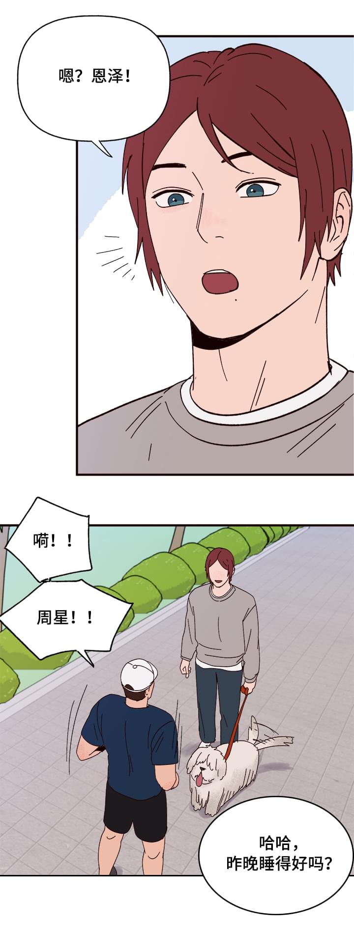爱宠攻略漫画,第10章：谎言3图