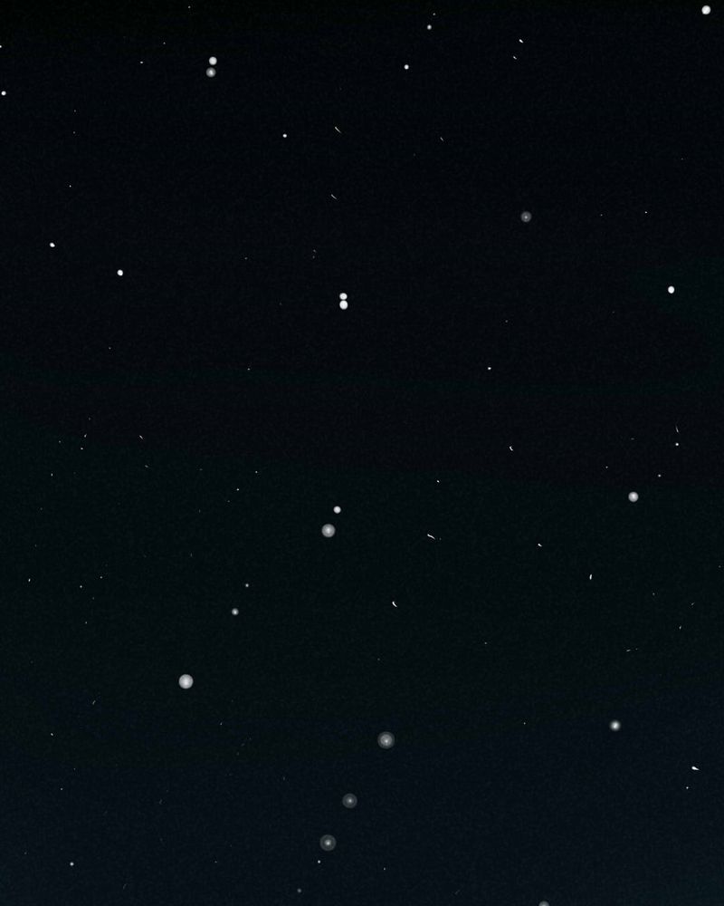 入夜玫瑰1-40集免费看漫画,第23章：养煞（六）3图