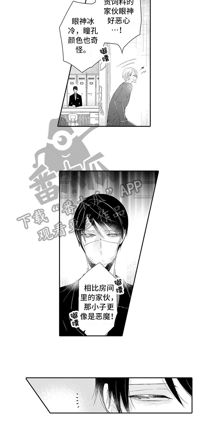 蝴蝶结漫画,第20章：怀疑1图
