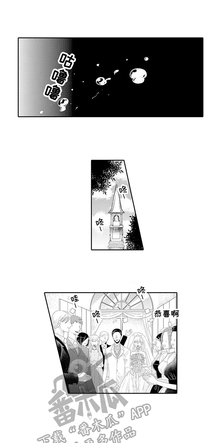 蝴蝶种类标本介绍漫画,第5章：别后悔2图