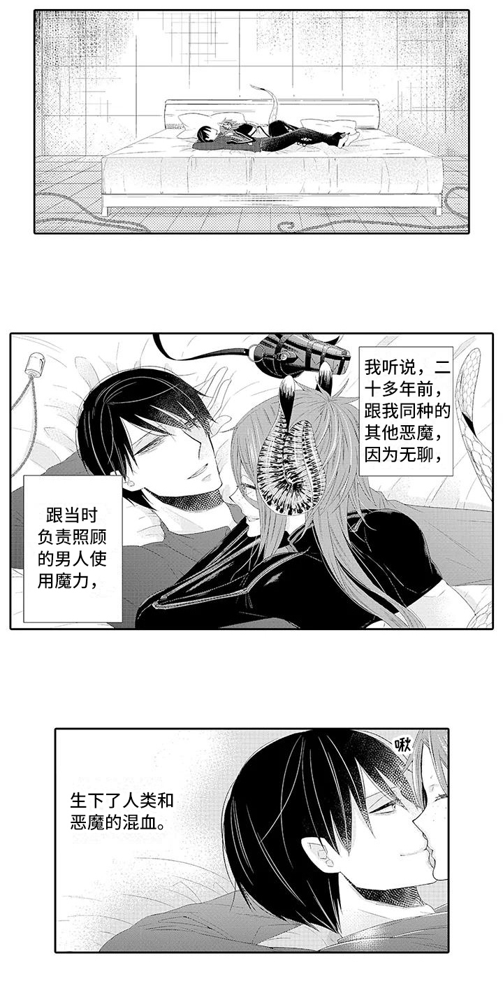 蝴蝶种类标本介绍漫画,第21章：期待【完结】3图