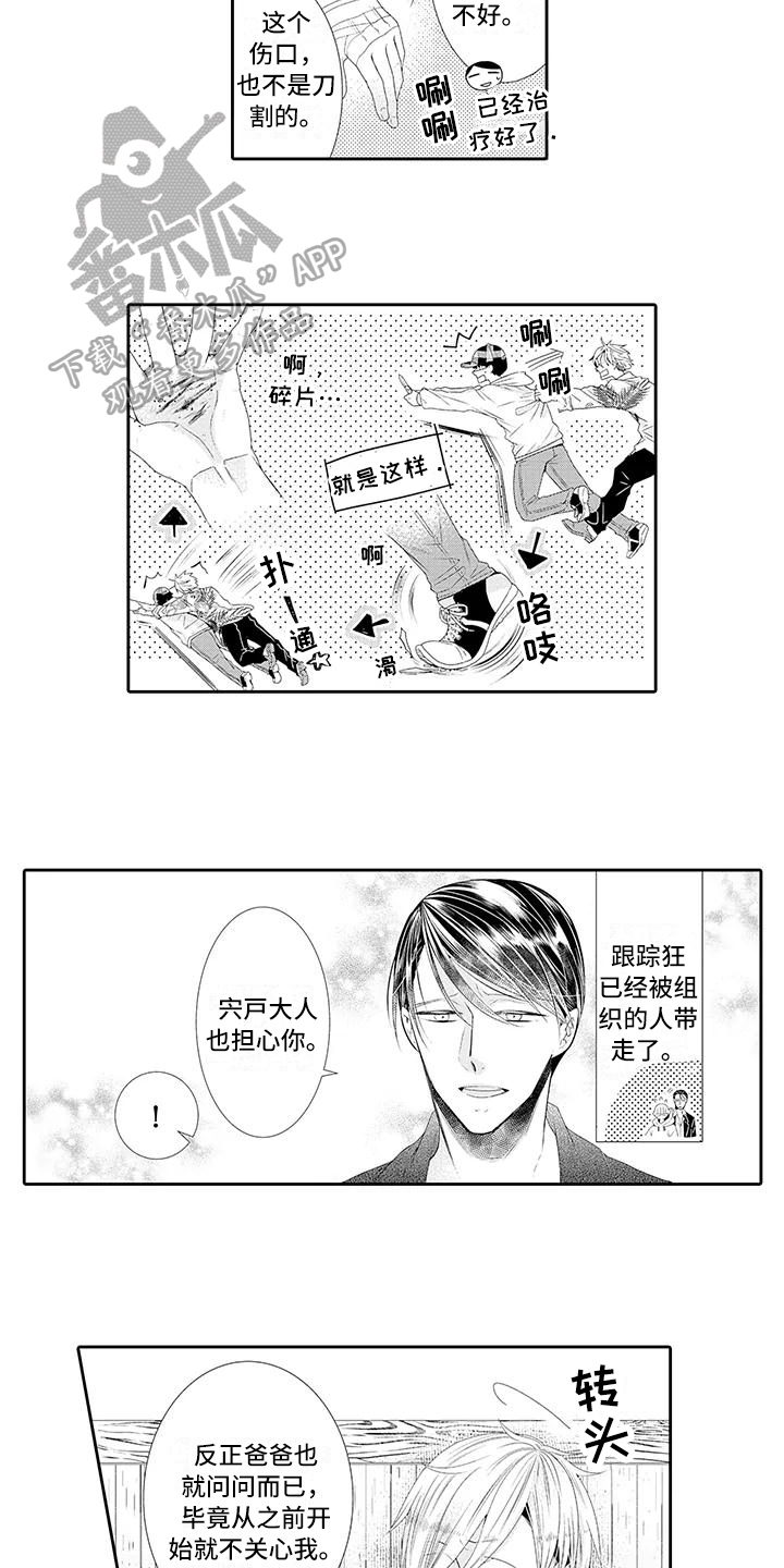 蝴蝶种花漫画,第13章：受伤4图