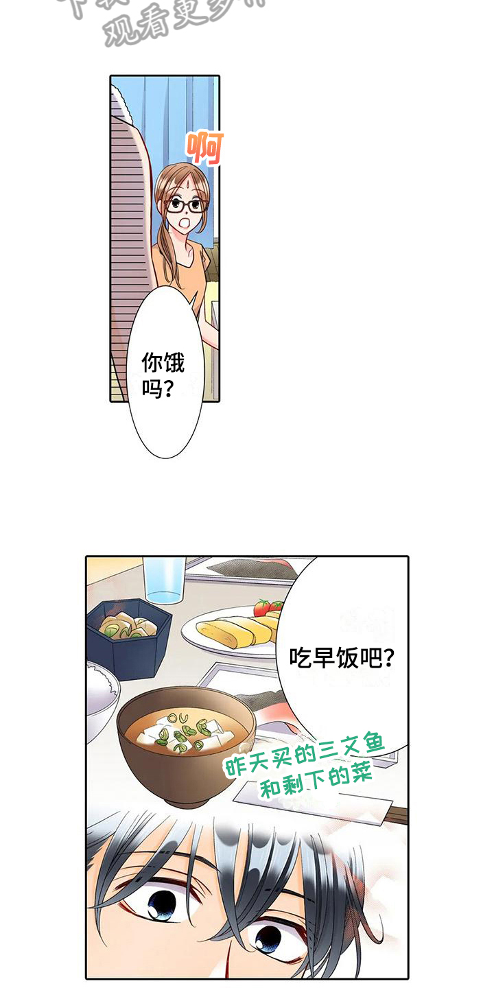 野雪花之恋漫画,第11章：观察4图