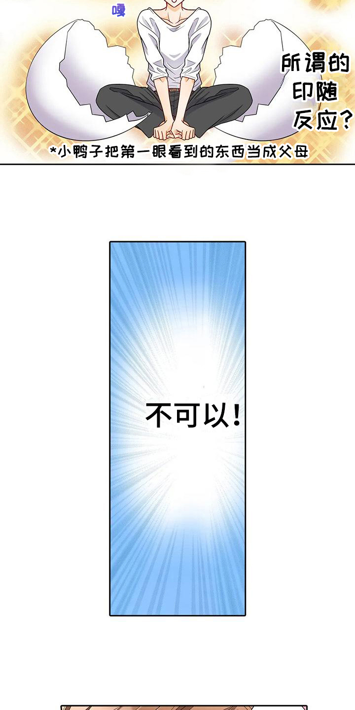 野雪豆漫画,第13章：喜欢4图